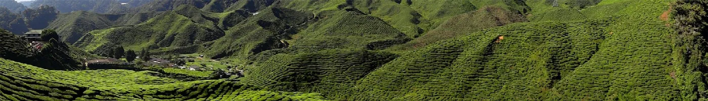 Malaysia