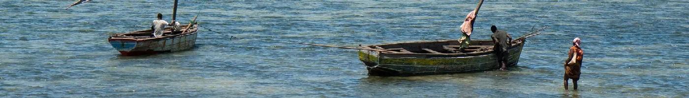 Mozambikas